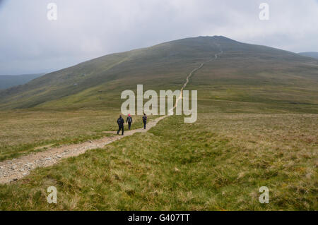 La montée des pistes wainwright de stybarrow dodd près de du bois dans le parc national du Lake District, Cumbria, Royaume-Uni Banque D'Images