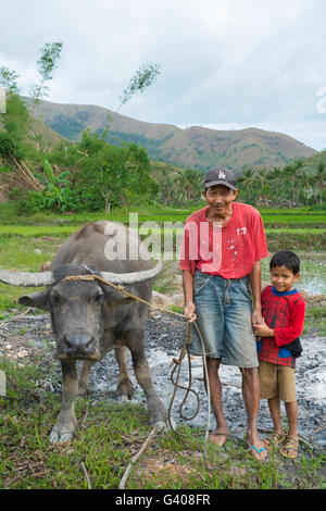 Grand-père et petit-fils posant avec leurs buffles d'eau dans les Philippines. Banque D'Images