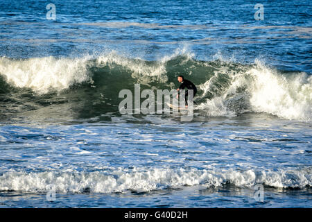 Werri Beach, surfeur sur Gerringong Illawarra, Coast, New South Wales, NSW, Australie Banque D'Images