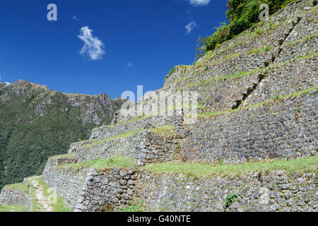 Intipata ruines, Pérou Banque D'Images