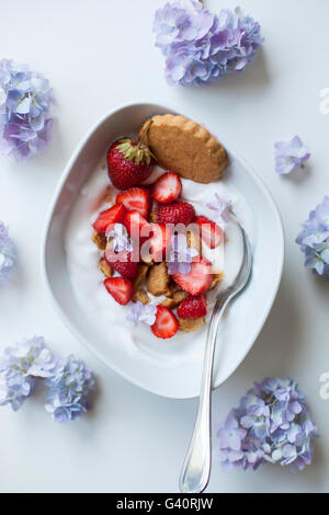 Yogourt aux fraises et noix de coco noix de coco broyée cookies Banque D'Images