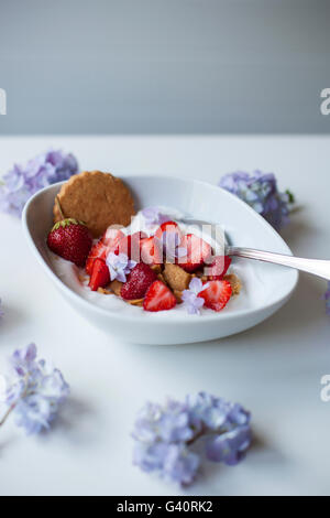 Yogourt aux fraises et noix de coco noix de coco broyée cookies Banque D'Images