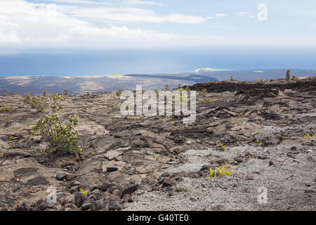 À partir de la coulée de lave de Mauna Ulu Banque D'Images