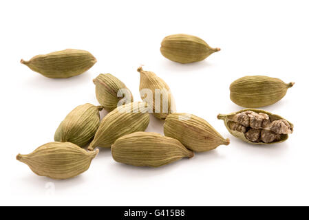 Gousses de cardamome isolé sur fond blanc Banque D'Images