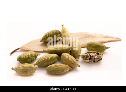 Gousses de cardamome isolé sur fond blanc Banque D'Images