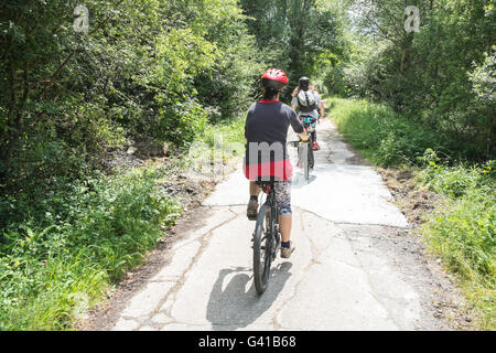 Famille,Cyclisme sur le réseau national de Cyclisme route 4,Londres à Fishguard.Here sur le chemin à travers la forêt de pins à Pembrey Country Park,pays de Galles,gallois,côte, Banque D'Images