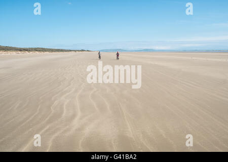 Randonnée à vélo le long d'une partie de 8kms de long vide Pembrey Sands Beach sur un dimanche ensoleillé de juin. Carmarthenshire, Pays de Galles Banque D'Images