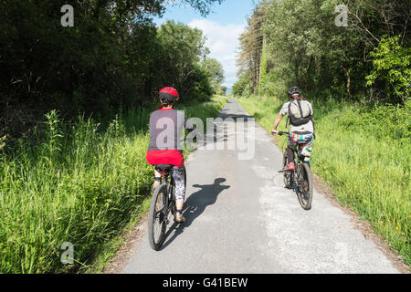 Famille,Cyclisme sur le réseau national de Cyclisme route 4,Londres à Fishguard.Here sur le chemin à travers la forêt de pins à Pembrey Country Park,pays de Galles,gallois,côte, Banque D'Images