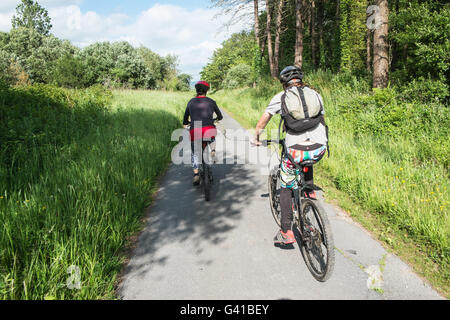 Famille,Cyclisme sur le réseau national de Cyclisme route 4,Londres à Fishguard.Here sur le chemin à travers la forêt de pins à Pembrey Country Park,pays de Galles,gallois,côte, Banque D'Images