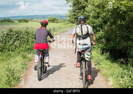 Famille,Cyclisme sur le réseau national de Cyclisme route 4,Londres à Fishguard.Here sur le chemin à travers la forêt de pins à Pembrey Country Park,pays de Galles,gallois,côte, Banque D'Images