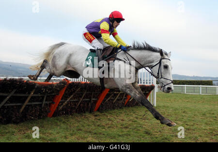 RACING Cheltenham 20 Banque D'Images