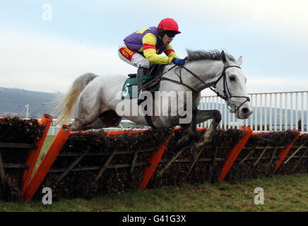 Les Grands crus, criblés par Tom Scudamore, sautent le dernier sur leur chemin vers la victoire dans l'obstacle de course à la clef Rewards4Racing lors de la journée des essais au Festival Hippodrome de Cheltenham, Cheltenham. Banque D'Images