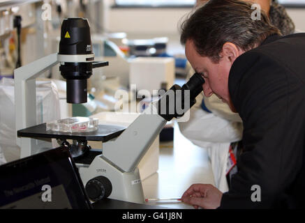 Le Premier ministre David Cameron lors de sa visite au Centre de vie de Newcastle. Banque D'Images