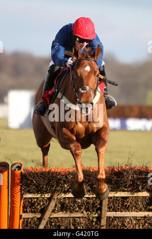 Les courses de chevaux - Skybet Chase Réunion - Hippodrome de Doncaster Banque D'Images