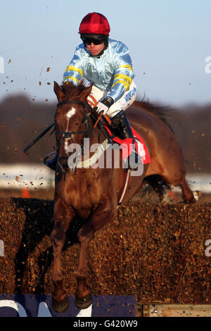 Les courses de chevaux - Skybet Chase Réunion - Hippodrome de Doncaster Banque D'Images