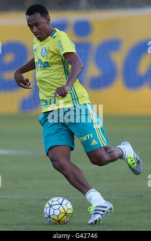 Sao Paulo, Brésil. 17 Juin, 2016. La formation d'arbres - l'Fabricio, joueur de se Palmeiras, au cours de la formation, l'Académie de football à Barra Funda. © Cesar Greco/FotoArena/Alamy Live News Banque D'Images