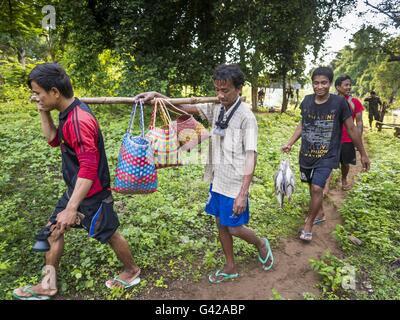 18 juin 2016 - Don Khone, Champassak, Laos - Les pêcheurs portent leurs prises hors de la soi Pa Khon Chutes d'eau, sur le côté est de Don Khon. C'est le plus petit des deux chutes d'eau en Don Khon. Les pêcheurs ont construit un système complexe de ponts de cordes au-dessus des chutes qu'ils utilisent pour se rendre à l'pièges à poissons. Les pêcheurs de la région sont aux prises avec une baisse des rendements et les petits poissons, qui menaçaient leur mode de vie. Le Mékong est l'un des plus riches et productifs fleuves sur Terre. C'est un haut lieu mondial pour les poissons d'eau douce : plus de 1 000 espèces ont été enregistrées il y a, en second lieu seulement à Banque D'Images