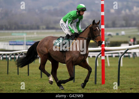 Horse Racing - Festival de Cheltenham Cheltenham Racecourse - Journée d'essais Banque D'Images