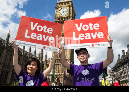 Les partisans du "vote laisser' campagne de Westminster Bridge à quitter l'UE le 23 juin Banque D'Images