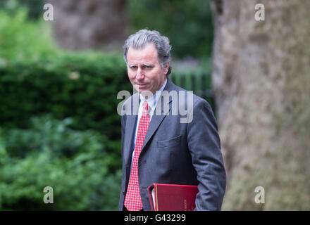 Oliver Letwin, Chancelier du duché de Lancaster,arrive au numéro 10 Downing Street pour une réunion du Cabinet Banque D'Images