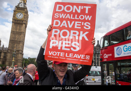 Laisser spectateurs assister au vote out' de la flottille Westminster Bridge - 'ne pas avaler Dave's Pork pies' banner Banque D'Images