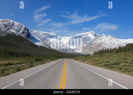 Promenade des Glaciers désolées / Autoroute 93, Jasper National Park, Alberta, Canada Banque D'Images