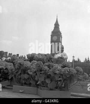 Image - Princess Margaret et Antony Armstrong-Jones Mariage - Londres Banque D'Images