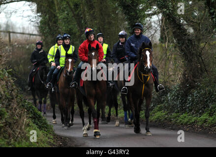 Kauto Star (avant à droite) fait son chemin de retour des galops lors d'une visite à Paul Nicholls stable à la ferme Manor stables, Ditcheat. Banque D'Images