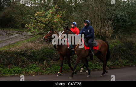 Kauto Star (à côté) fait son chemin de retour des galops lors d'une visite à Paul Nicholls stable à la ferme Manor stables, Ditcheat. Banque D'Images