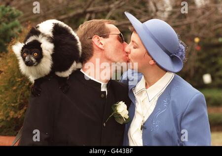 Dana, un lémurien de haut, se détourne comme un baiser de Jan et Jim Tripp après leur mariage au zoo de Londres. Le couple, originaire d'Islington, dans le nord de Londres, est le premier à être marié au célèbre zoo de la capitale. Banque D'Images