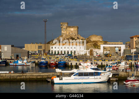 Bateaux dans le port de pêche de Tarifa, Costa de la Luz, Cadiz Province, Andalusia, Spain Europe Banque D'Images