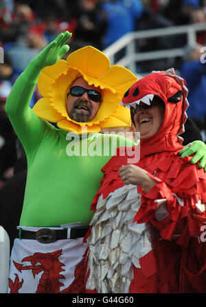 Rugby Union - RBS 6 Nations Championship 2011 - France v Pays de Galles - Stadio Flaminio Banque D'Images