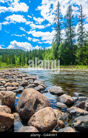 Rivière de montagne en Norvège avec des rochers en premier plan et de pins en arrière-plan Banque D'Images