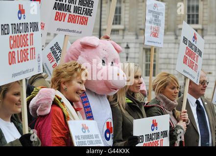 Les éleveurs de porcs la démonstration Banque D'Images