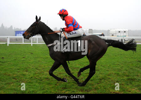 Jockey Barry Geraghty sur Sprinter Sacre sur son chemin Victoire dans l'obstacle Trisoft 'National Hunt' novices Banque D'Images