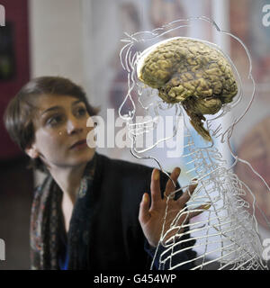L'exposition du cerveau à Bristol Banque D'Images