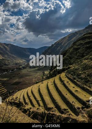 Terrasses agricoles dans la Vallée Sacrée des Incas, Pisac, Pérou Banque D'Images