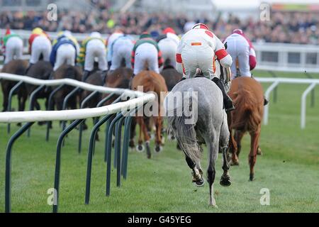 Courses hippiques - 2011 Cheltenham Festival - troisième jour.Les coureurs et les cavaliers font la course pendant la plaque de groupe Byrne (3 e année de Handicap Chase) le jour de la St Patrick, pendant le Cheltenham Festival Banque D'Images