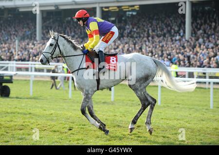 Les Grands crus, criblés par Tom Scudamore, vont poster pour le Ladbrokes World Hurdle le jour de la St Patrick, pendant le Cheltenham Festival Banque D'Images