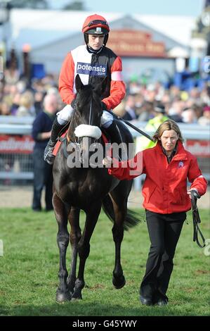 Big Buck est monté par Ruby Walsh avant que le Ladbrokes World ne se hette à l'occasion de la St Patrick, pendant le Cheltenham Festival Banque D'Images