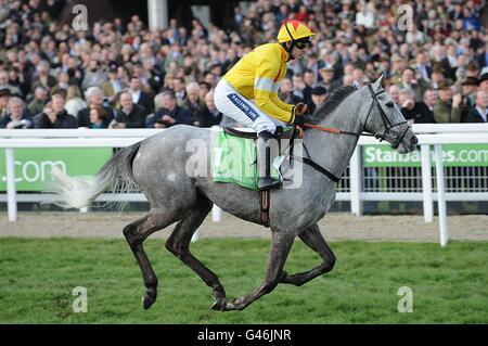 Al Ferof monté par Ruby Walsh va poster pour l'obstacle des novices suprêmes de Stan James le jour du centenaire, pendant le Cheltenham Festival. Banque D'Images