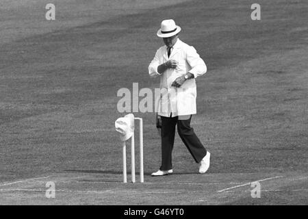 Cricket - National Westminster Bank en finale du Trophée 1981 - Derbyshire v Northamptonshire - Lord's Banque D'Images