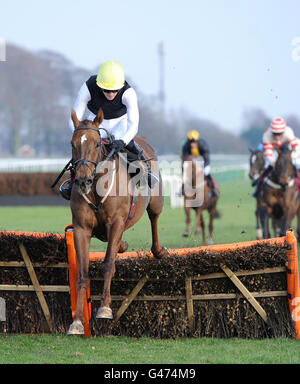 Mad Moose riden par Sam Twiston-Davies saute le dernier sur son chemin pour gagner la 80e course de haies de George Clooney lookosid handicap de Geoff Bellmoon à l'hippodrome de Haydock Park, à Merseyside. Banque D'Images