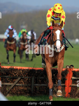 Les courses de chevaux - Hippodrome de Towcester Banque D'Images