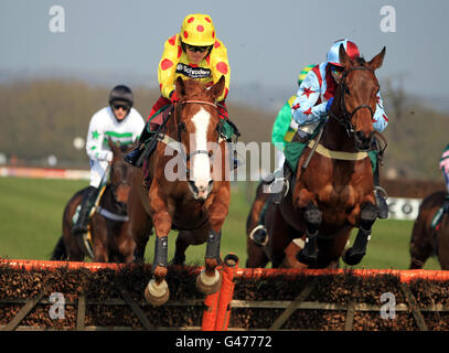 Les courses de chevaux - Hippodrome de Towcester Banque D'Images