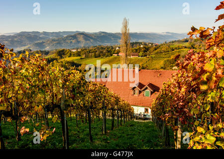 Vignobles et vins du sud de la Styrie - House Road, l'Autriche, Styrie, Carinthie, Südwest-Steiermark, Gamlitz Banque D'Images