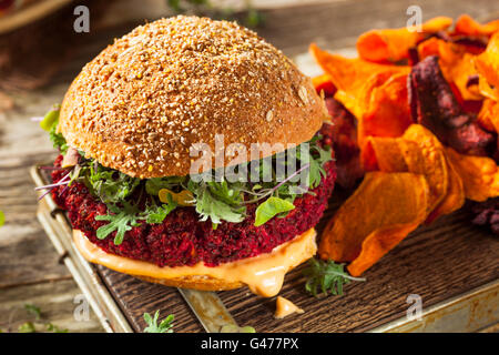 Rouge betterave cuite sain Vegan Burger avec Microgreens Banque D'Images