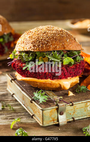 Rouge betterave cuite sain Vegan Burger avec Microgreens Banque D'Images