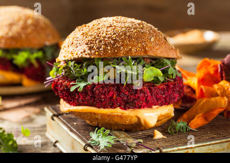 Rouge betterave cuite sain Vegan Burger avec Microgreens Banque D'Images