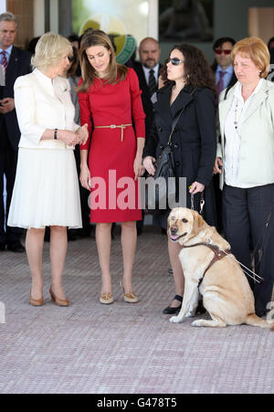 La duchesse de Cornouailles avec la princesse Letizia des Asturies (2ème à gauche) lors d'une visite à la FONDATION DU CHIEN-GUIDE À Madrid, Espagne. Banque D'Images